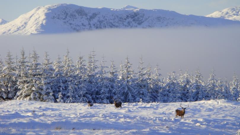 on the mountains in winter